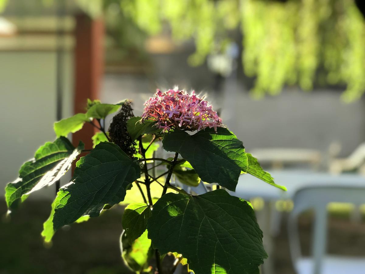 Apart Flavia カルウエ エクステリア 写真